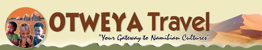 Otweya Logo